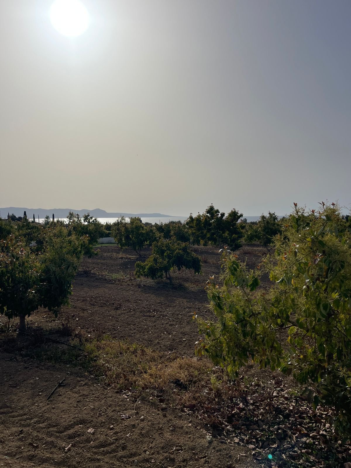6  Bungalows ( projektiert ) in traumhafter Lage mit Meerblick