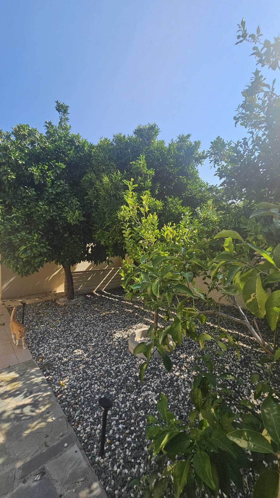 Elegant Bungalow with Breathtaking Views in Tranquil Tala