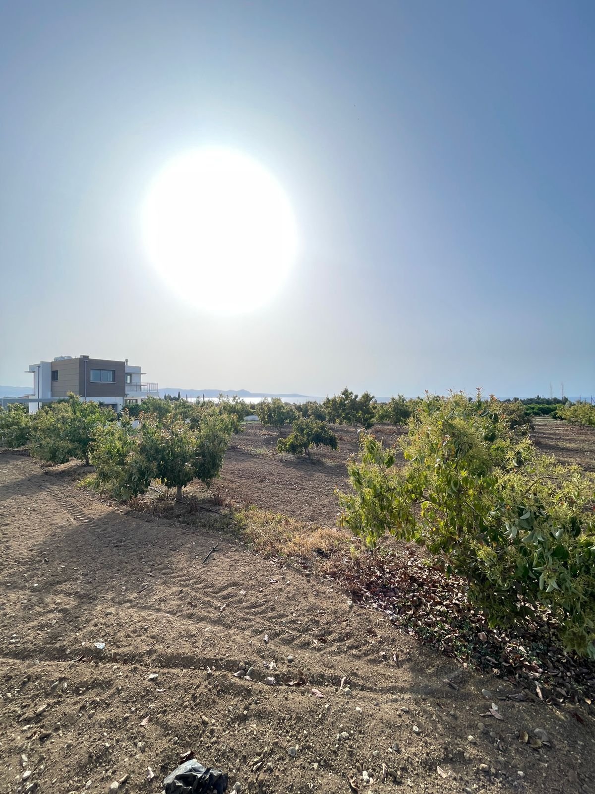 6 Bungalows ( projektiert ) in traumhafter Lage mit Meerblick